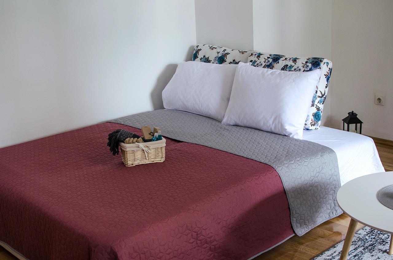 Ap Apartment Near Center Park 스코페 외부 사진